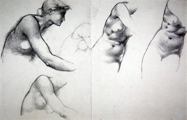 Der Baum der Vergebung - Studie für die Figur von Phyllis, ca. 1882 von Edward Coley Burne Jones
