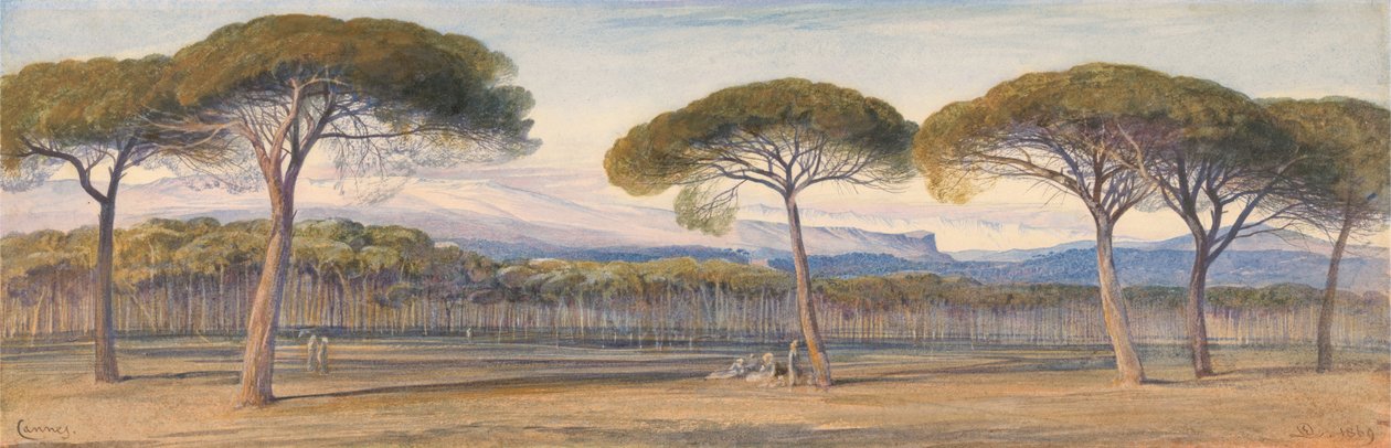 Ein Blick auf die Kiefernwälder über Cannes von Edward Lear