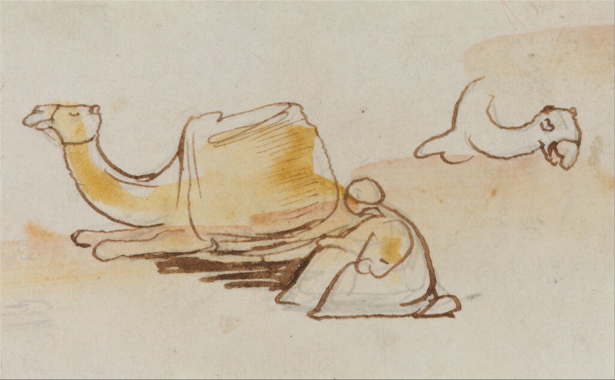 Kamelstudien von Edward Lear: Kunstdruck in Museumsqualität