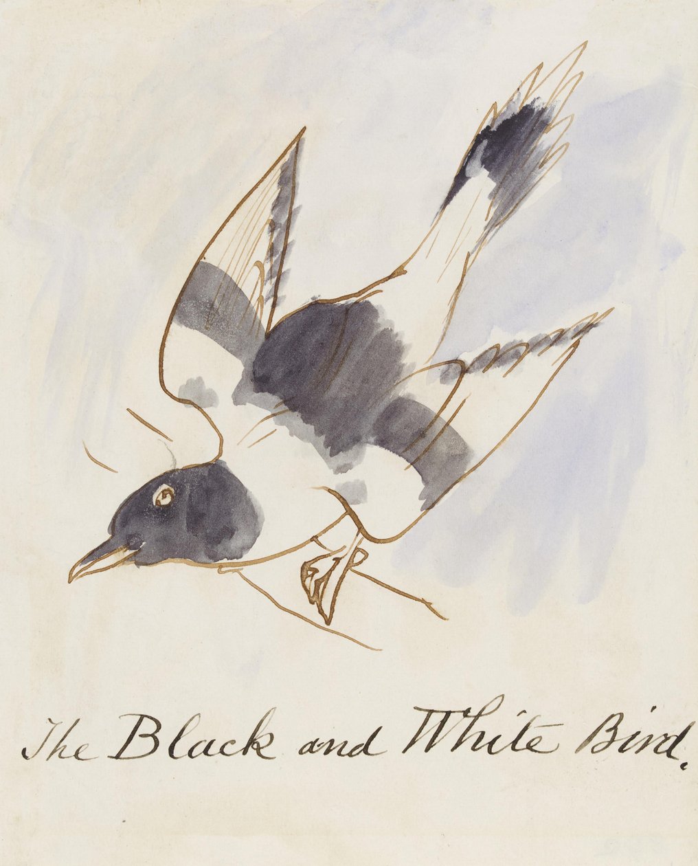 Der schwarz-weiße Vogel, aus Sechzehn Zeichnungen komischer Vögel von Edward Lear