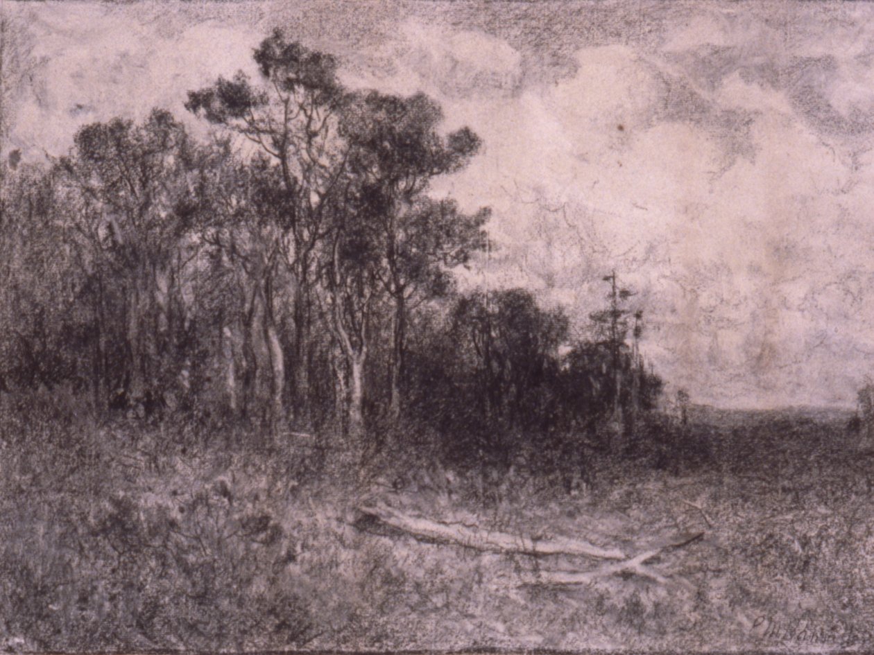 Landschaft, Waldszene von Edward Mitchell Bannister