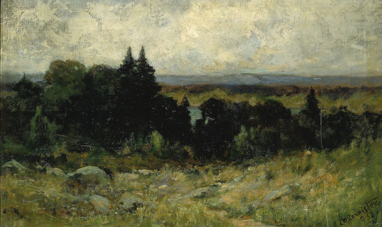 Ohne Titel (Landschaft, Felder mit Felsen und Bäumen) von Edward Mitchell Bannister