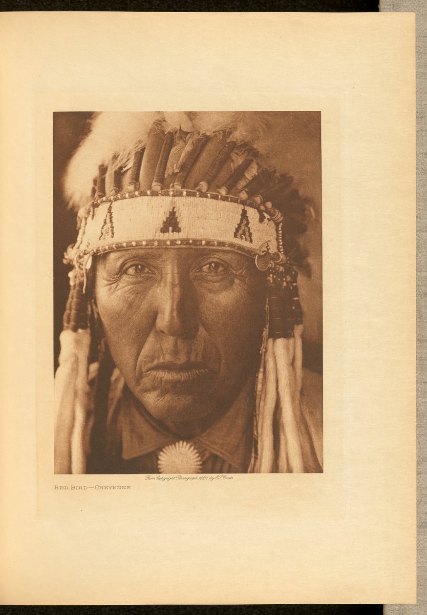 Roter Vogel - Cheyenne von Edward S. Curtis