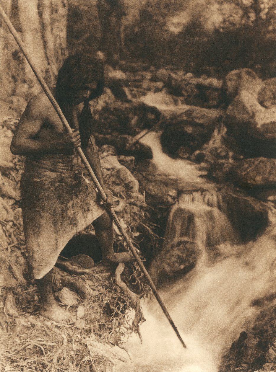 Junger amerikanischer Indianer des Hupa-Stammes oder -Dorfes beim Lachsfischen mit einem langen Stock. Er trägt eine Tierhaut um die Lenden. Hinter ihm Wälder und ein Bach von Edward Sheriff Curtis