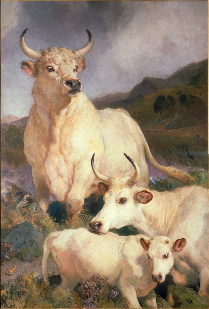 Wildrinder von Chillingham, Northumberland, ca. 1867 von Edwin Landseer