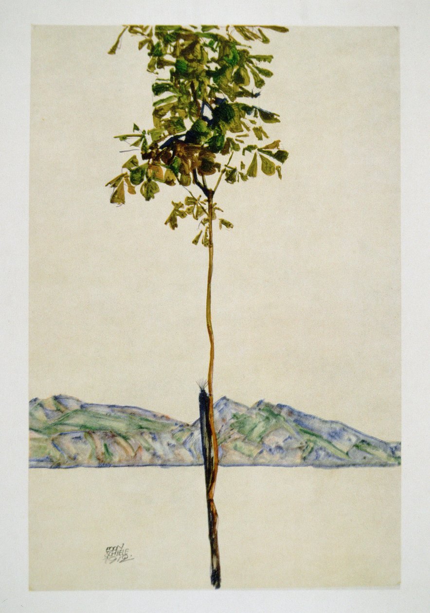 Bäumchen - Kastanienbaum am Bodensee von Egon Schiele