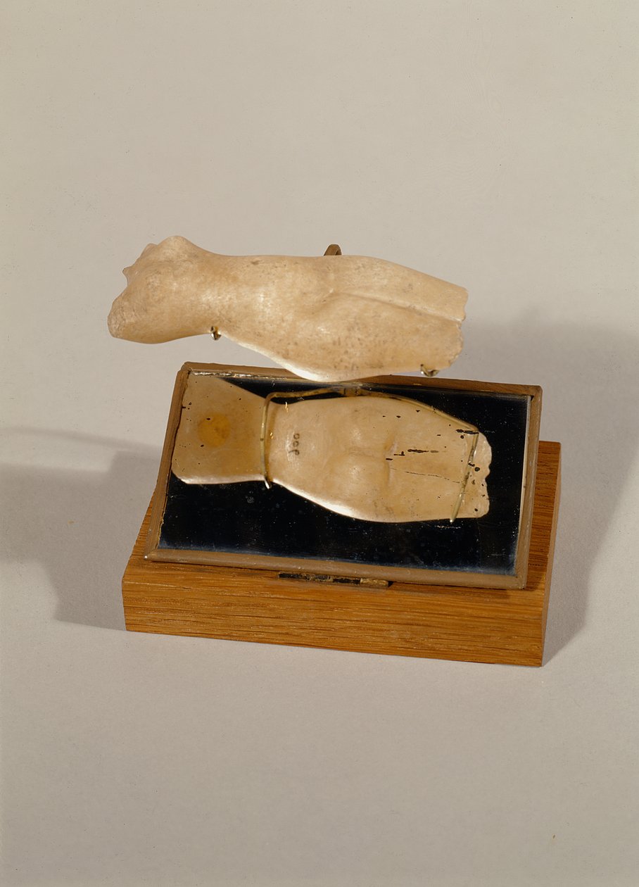 Torso einer Frau, Neues Königreich (Alabaster) von Egyptian 18th Dynasty