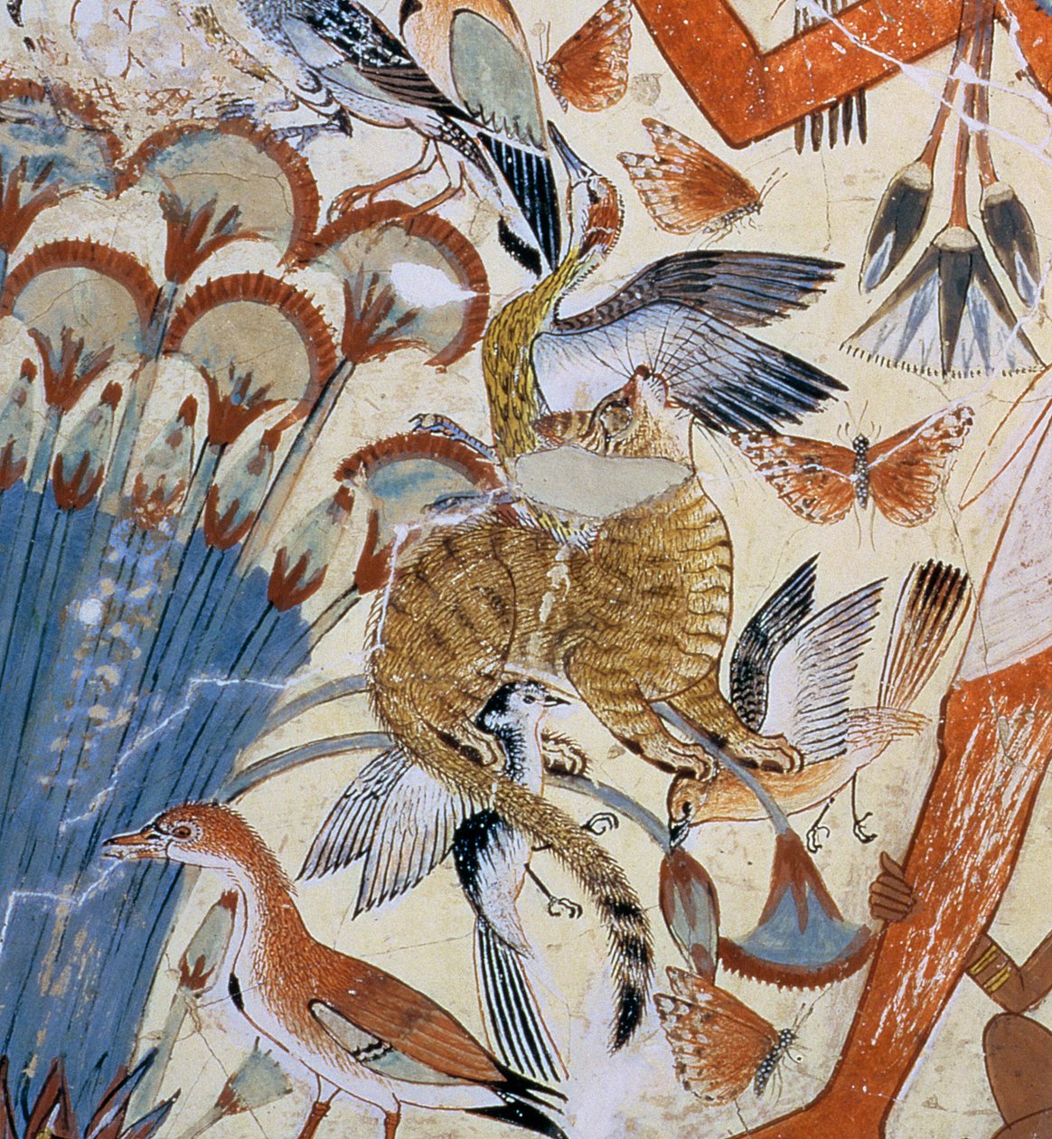 Detail einer Katze, aus Nebamun jagt in den Sümpfen mit seiner Frau und Tochter, Teil eines Wandgemäldes aus der Grabkapelle von Nebamun, Theben, Neues Reich, ca. 1350 v. Chr. von Egyptian 18th Dynasty