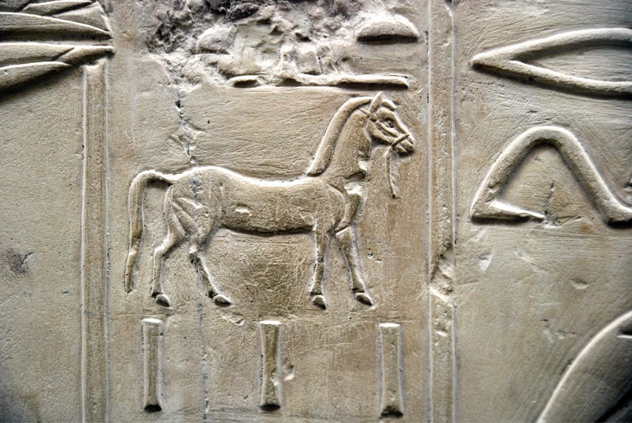 Ägyptische Antiquität: Darstellung eines Pferdes. Flachrelief aus dem Grab des Wesirs Ramose (18. Dynastie). Luxor, Theben, Tal der Adligen Ägypten von Egyptian 18th Dynasty