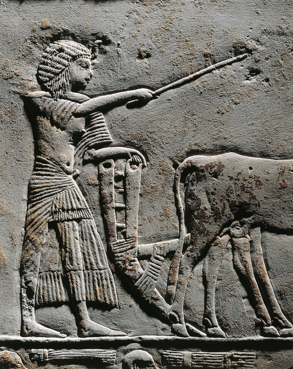 Horemheb pflügt Land in den Feldern von Iaru, Relief aus dem Grab von Horemheb in Saqqara (Detail) von Egyptian 18th Dynasty