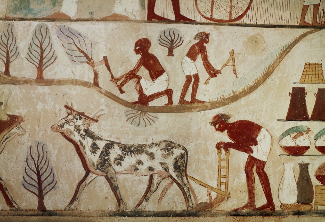 Feldarbeiten von Egyptian 18th Dynasty