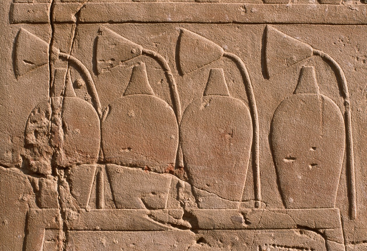 Detail eines Reliefs, das Krüge und Lotusblumen zeigt von Egyptian 19th Dynasty