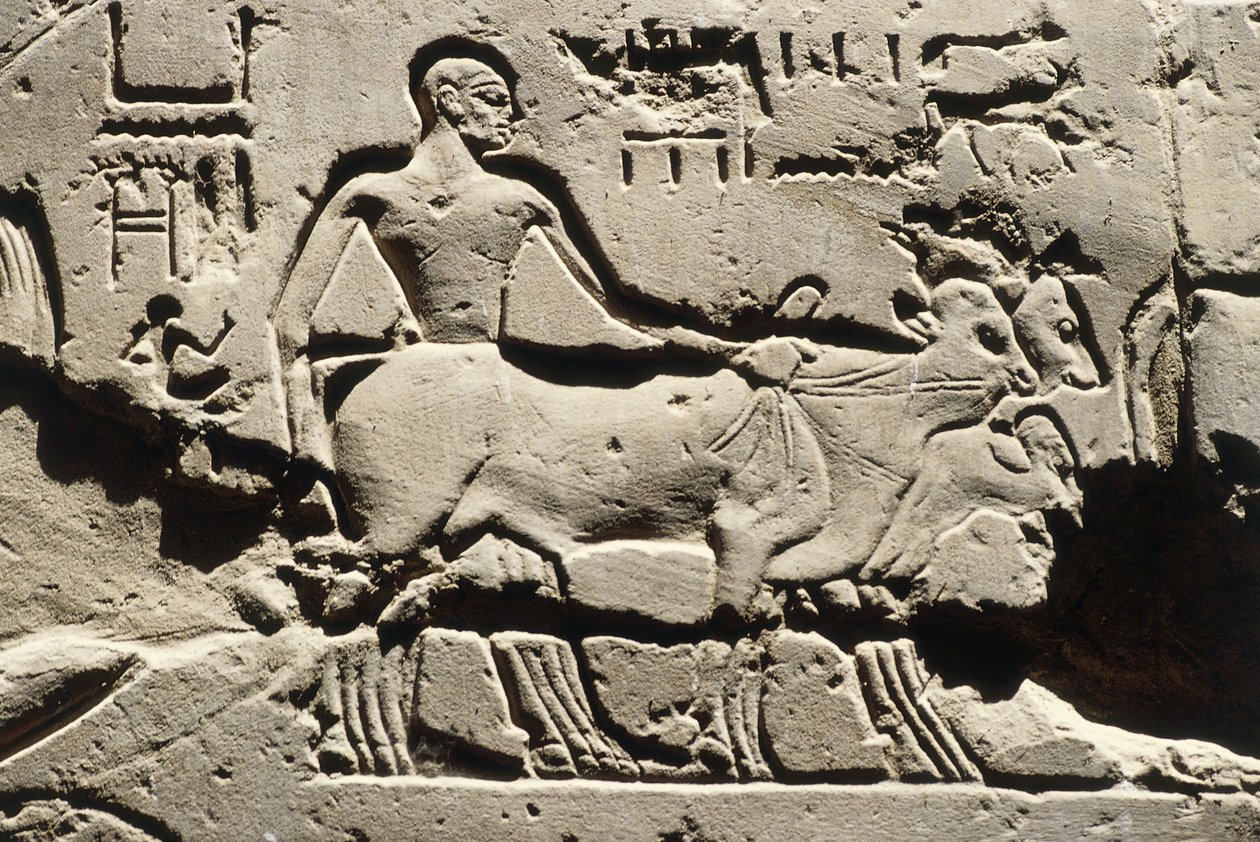 Ägypten Antike bes, Luxor, Luxor-Tempel, Hof von Ramses II, Relief, Neues Reich, Dynastie XIX (1290-1224 v. Chr.) von Egyptian 19th Dynasty