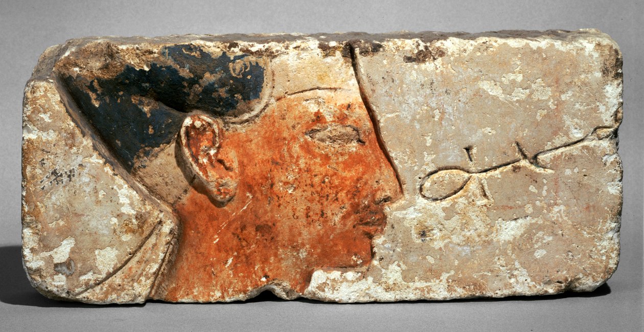 Profil eines Königs, vermutlich Ramses II von Egyptian 19th Dynasty