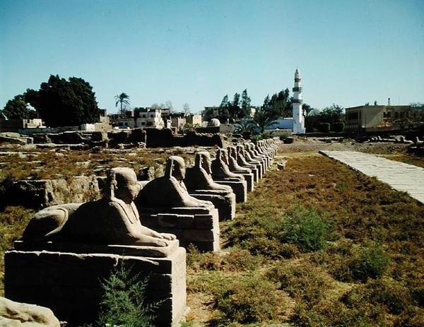 Allee der Sphingen, hinzugefügt von Nektanebos I (380-362 v. Chr.) Spätzeit von Egyptian 30th Dynasty