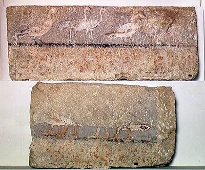 Wandmalerei, die Vögel darstellt, Altes Reich von Egyptian 5th Dynasty