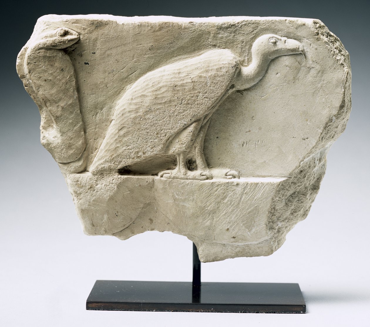 Relief, das einen Geier und eine Kobra darstellt von Egyptian Ptolemaic Period