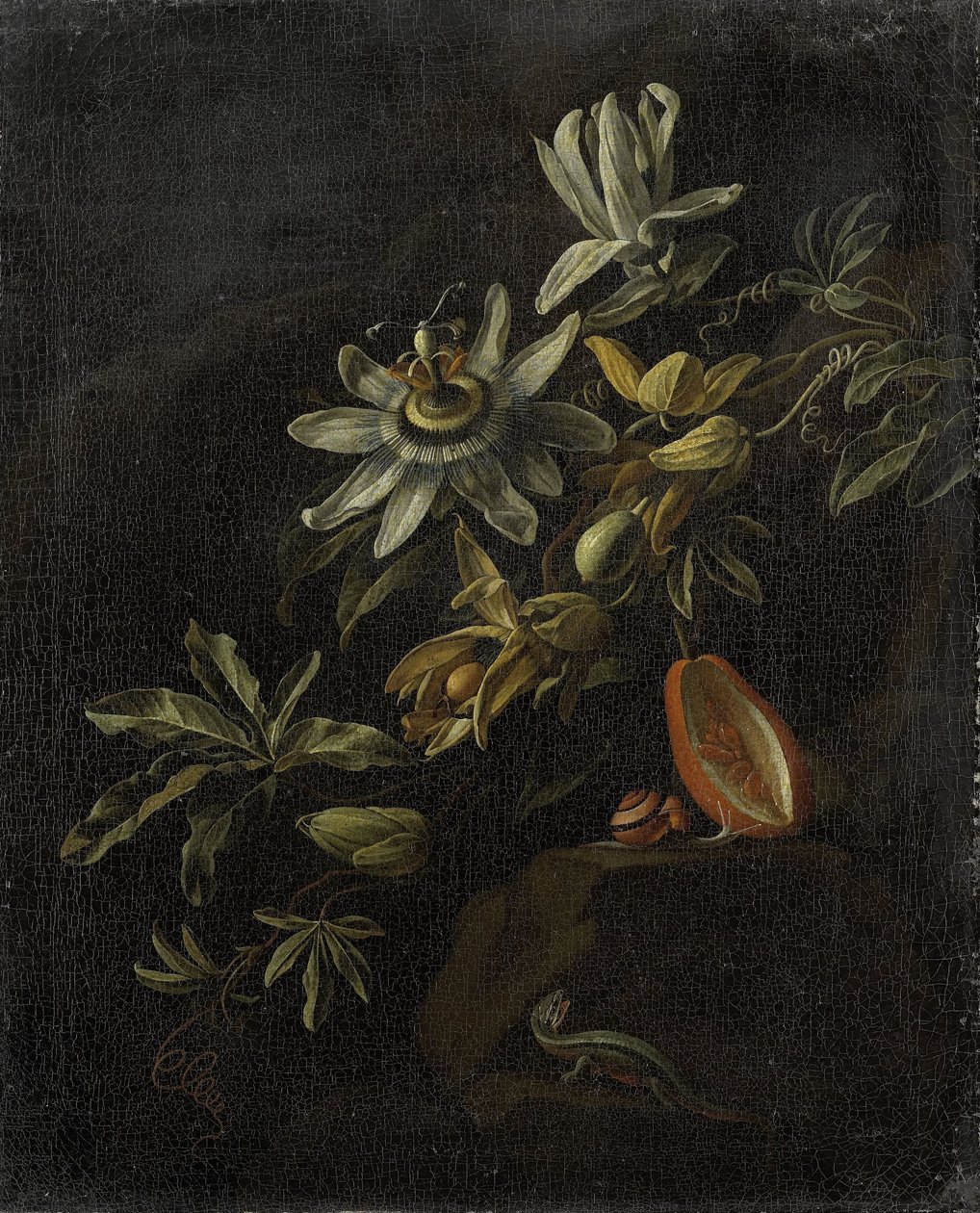 Stillleben mit Passionsblumen von Elias van den Broeck