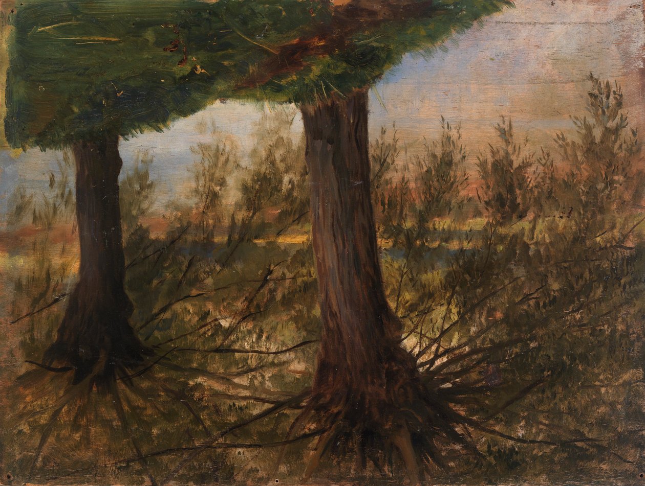 Bäume neben einem Bach, spätes 19. - frühes 20. Jahrhundert von Eliphalet Frazer Andrews