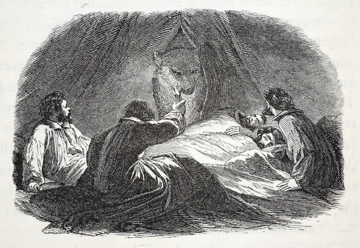 Der Bär im Lager, Illustration aus 