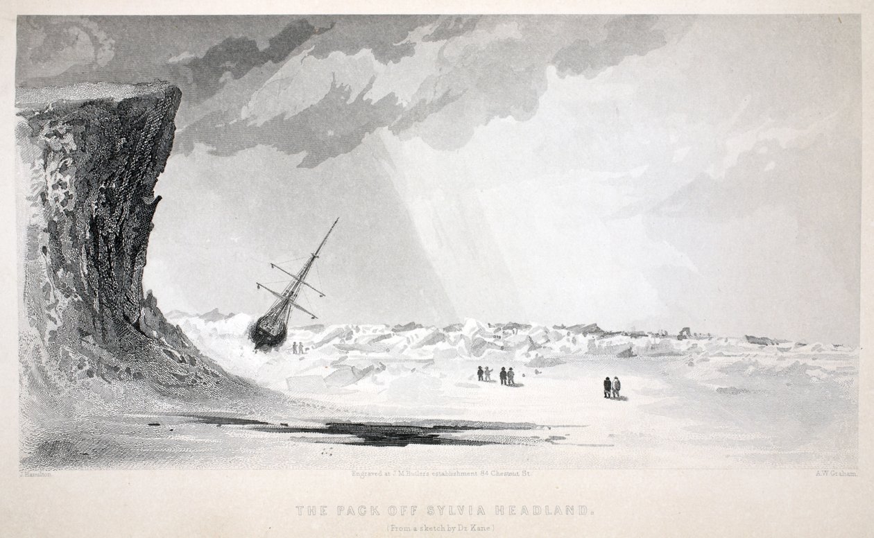 Das Pack vor Sylvia Headland, Illustration aus 