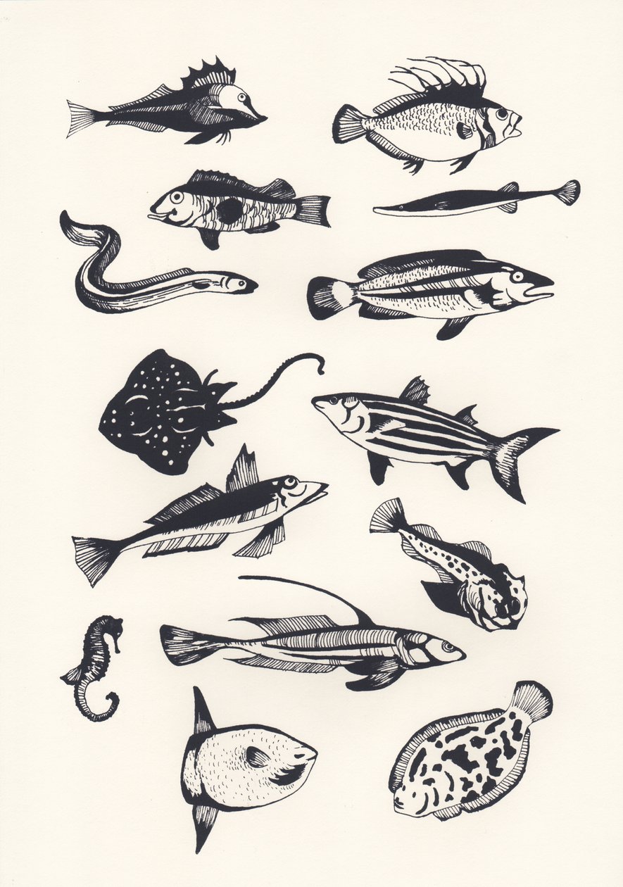 Monotone Ebene Fisch, 2015 von Eliza Southwood