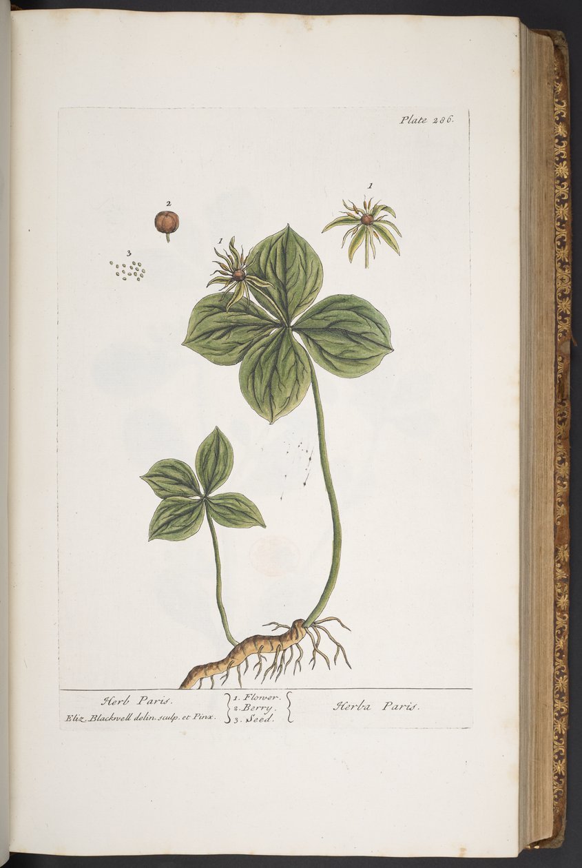 Tafel 286, aus 