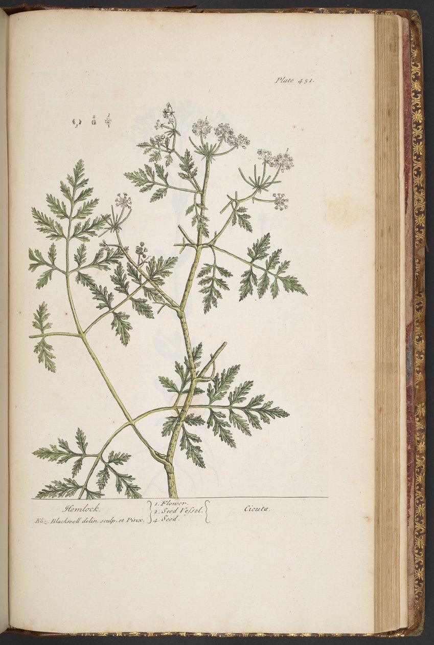 Tafel 451, aus 