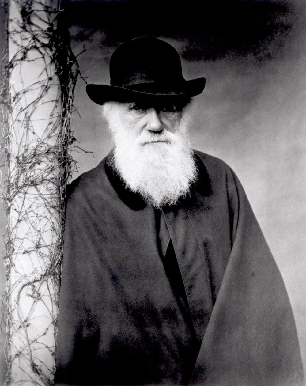 Porträt von Charles Darwin, 1881 von English Photographer