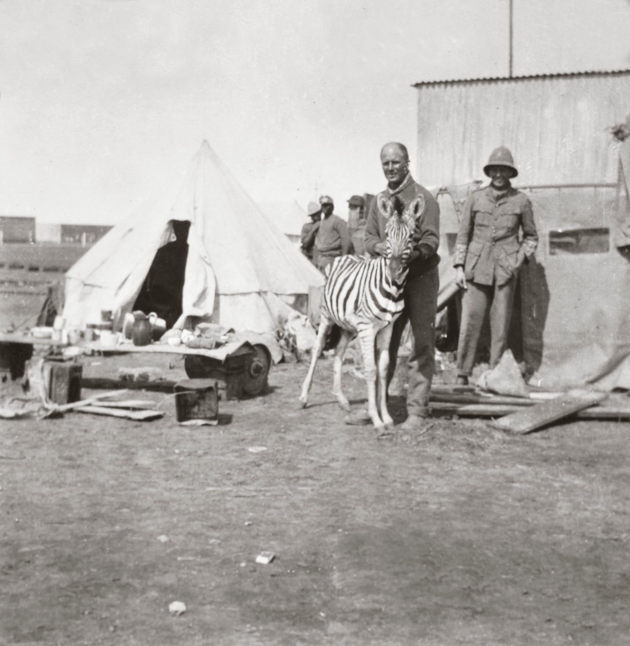 Südafrikanische Kanoniere mit ihrem Zebra in Ostafrika von English Photographer