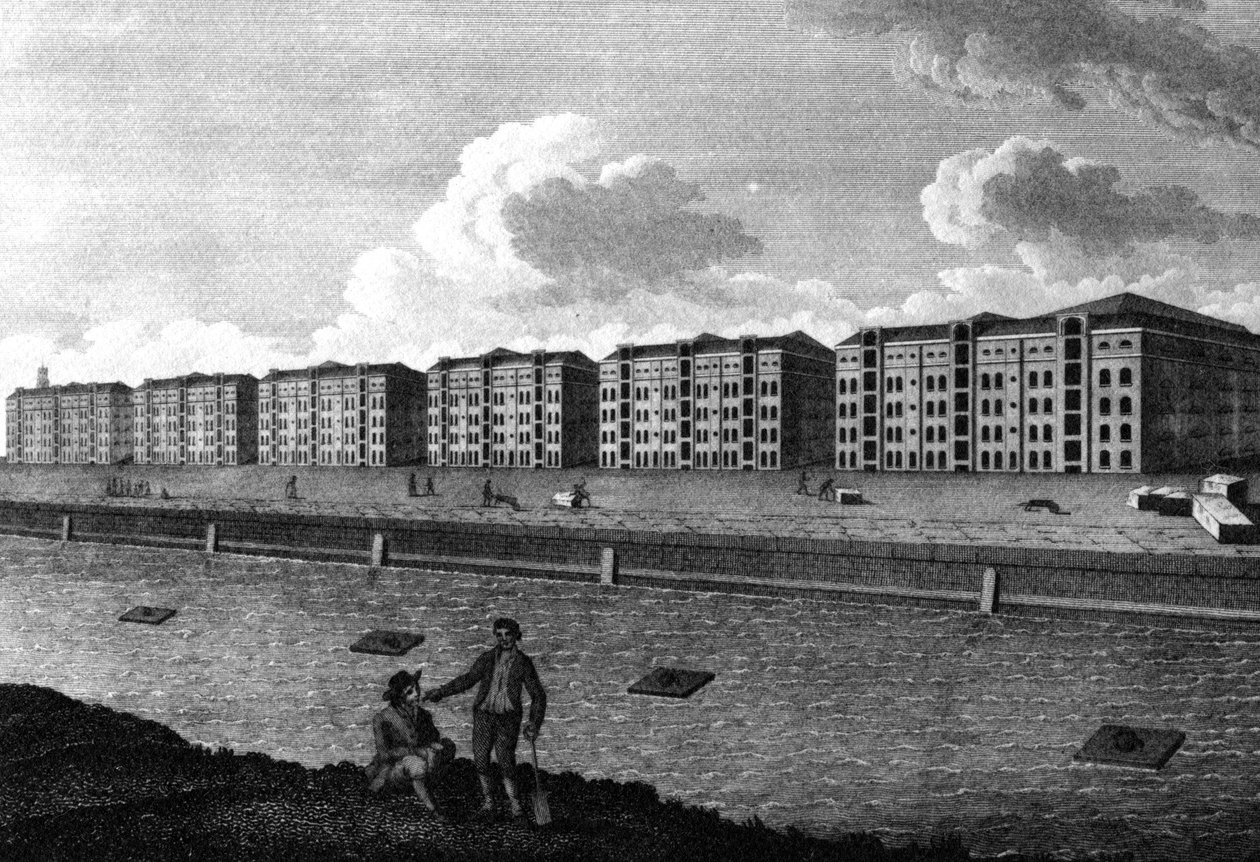 Ansicht der Lagerhäuser und des West-India Dock, 1803 von English School