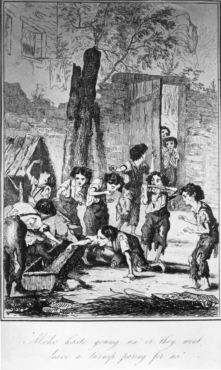 Beeil dich, Junge, sonst bleibt kein Rübenstück für uns übrig, Illustration aus Frances Trollope
