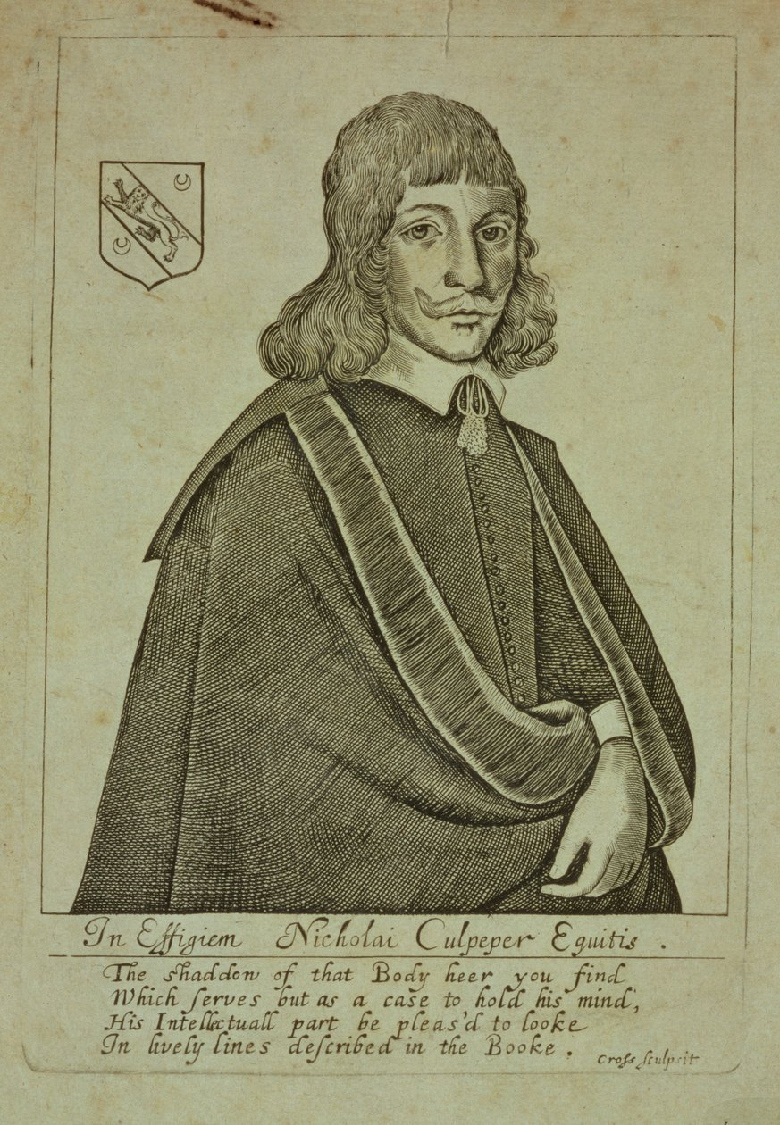 Porträt von Nicholas Culpeper (1616-54) aus A Physical Directory, oder eine Übersetzung des London Dispensatory, graviert von Thomas Cross, 1649 von English School