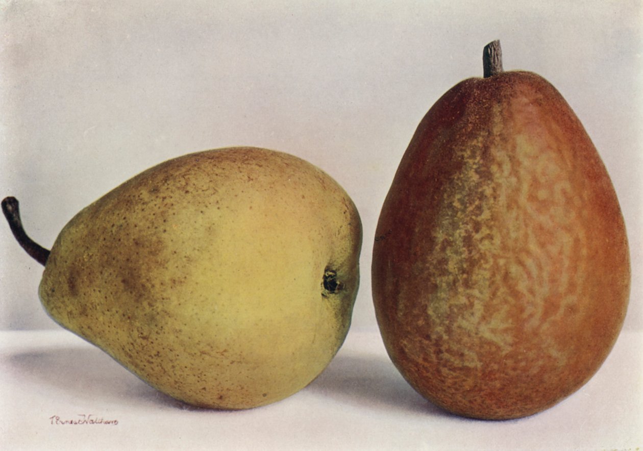 Birnen, Emile d