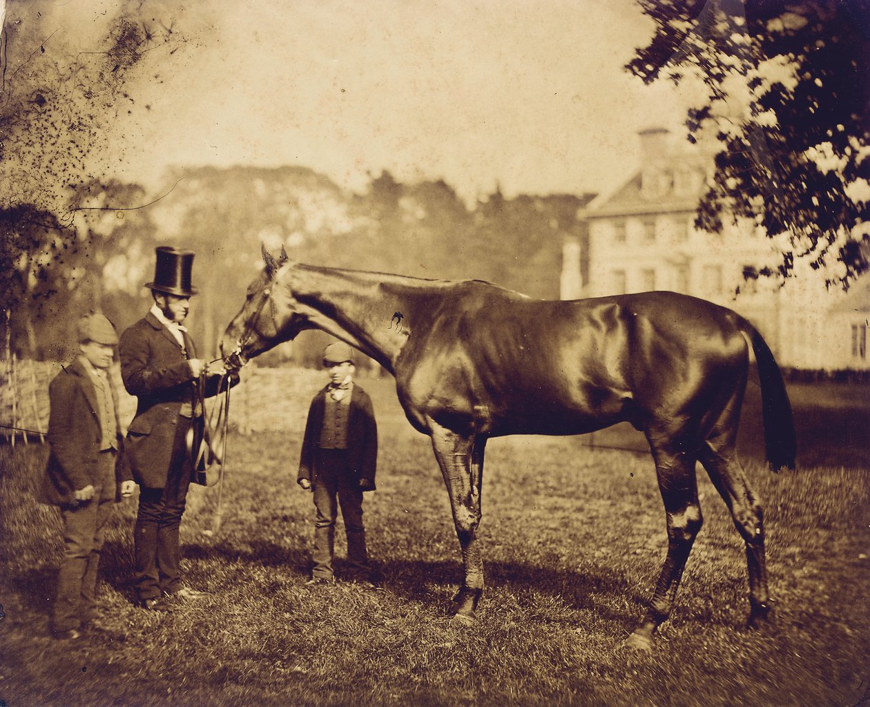 Wild Dayrell, Gewinner des Derbys 1856 von English Photographer