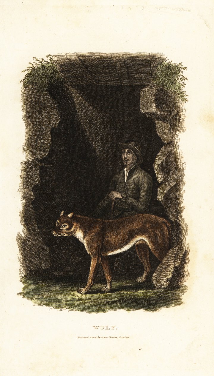 Englischer Gentleman des 18. Jahrhunderts und sein zahmer Wolf, Canis lupus, am Eingang einer Höhle von English School