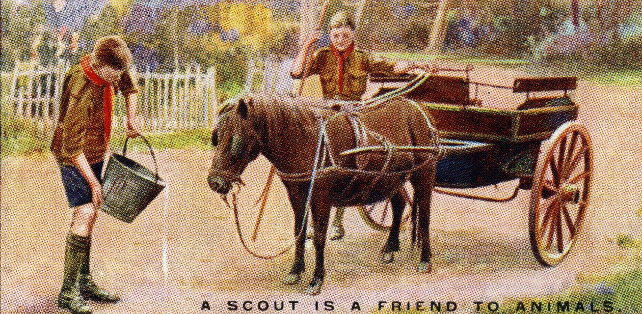Ein Pfadfinder ist ein Freund der Tiere, 1929 von English School
