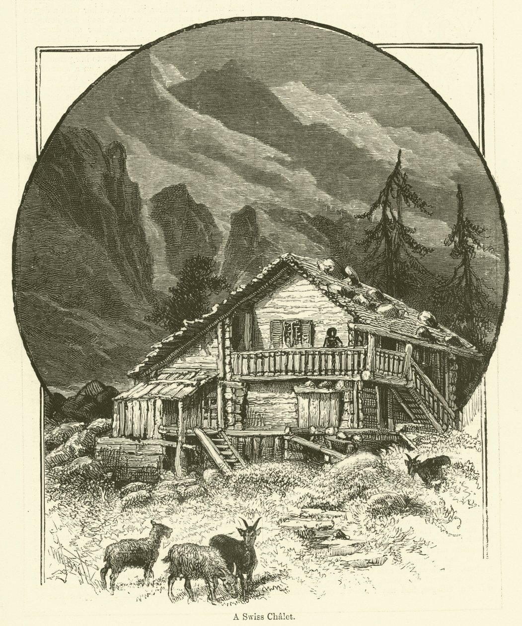 Ein Schweizer Chalet von English School