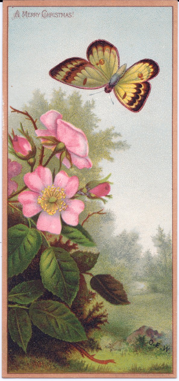 Eine viktorianische Weihnachtskarte mit einem Schmetterling und einem Busch von Hundsrosen, ca. 1880 von English School