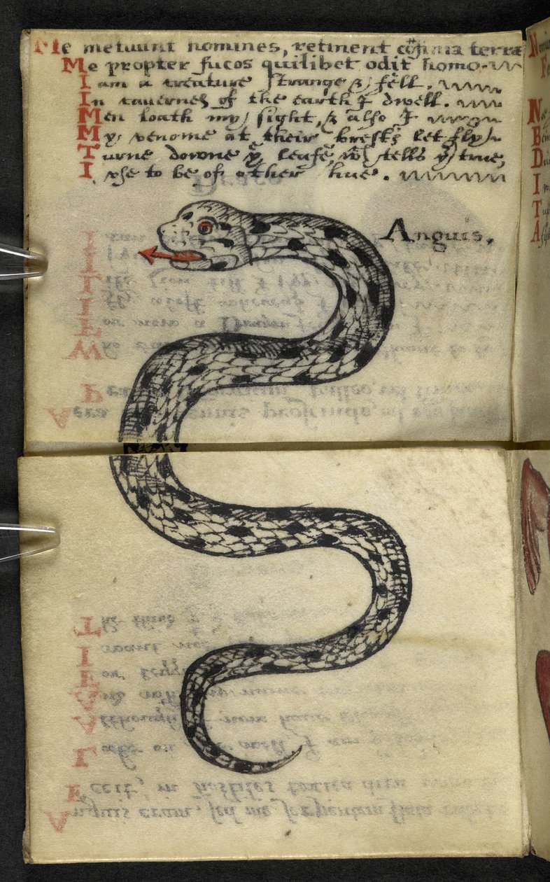 Add MS 57312 f.4 Jagdbuch von English School
