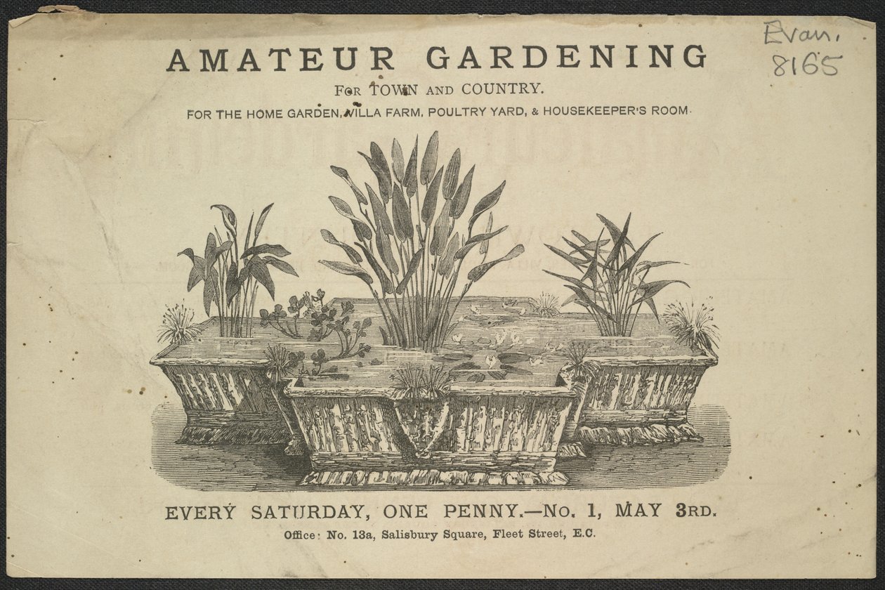 Anzeige für die Zeitschrift Amateur Gardening von English School