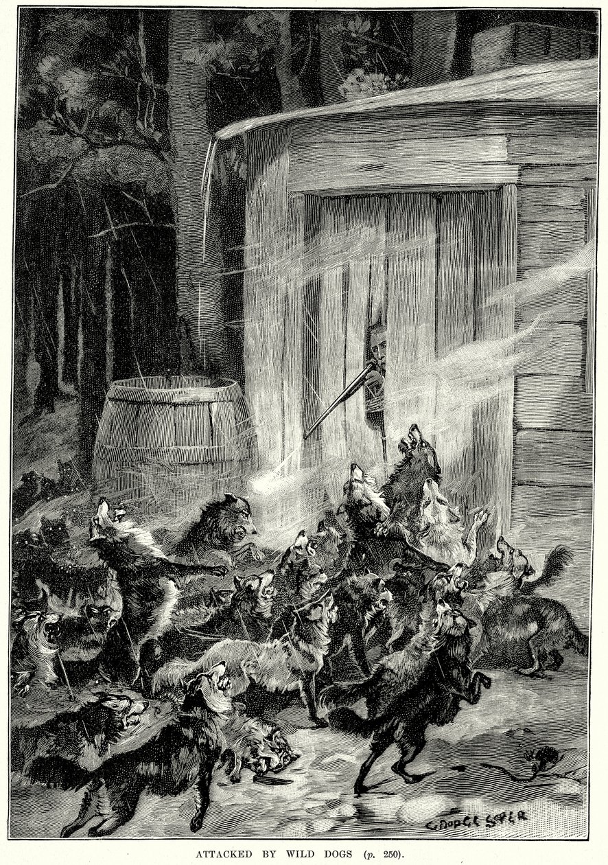 Von wilden Hunden angegriffen (Gravur) von English School