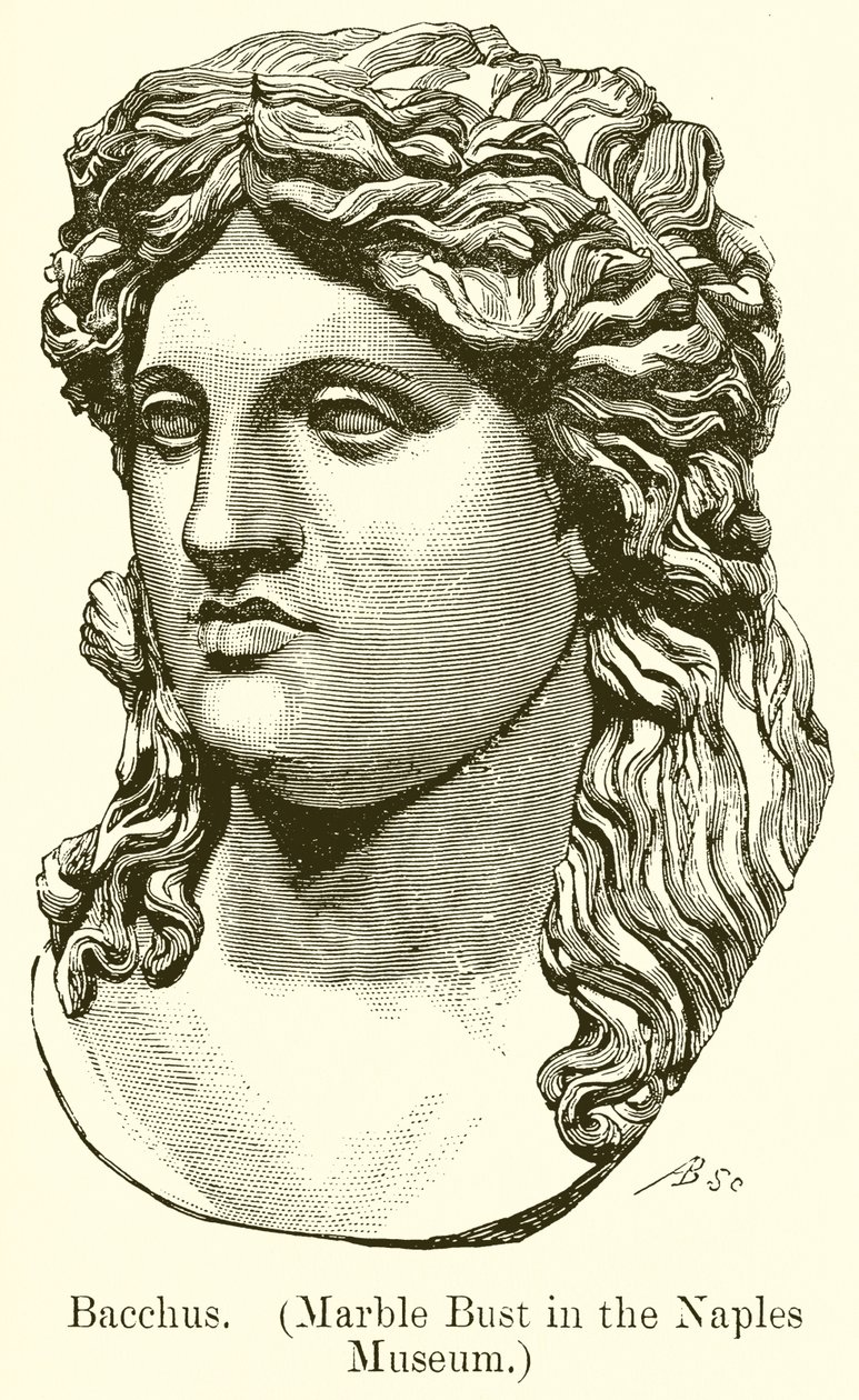 Bacchus. (Marmorbüste im Museum von Neapel) (Gravur) von English School