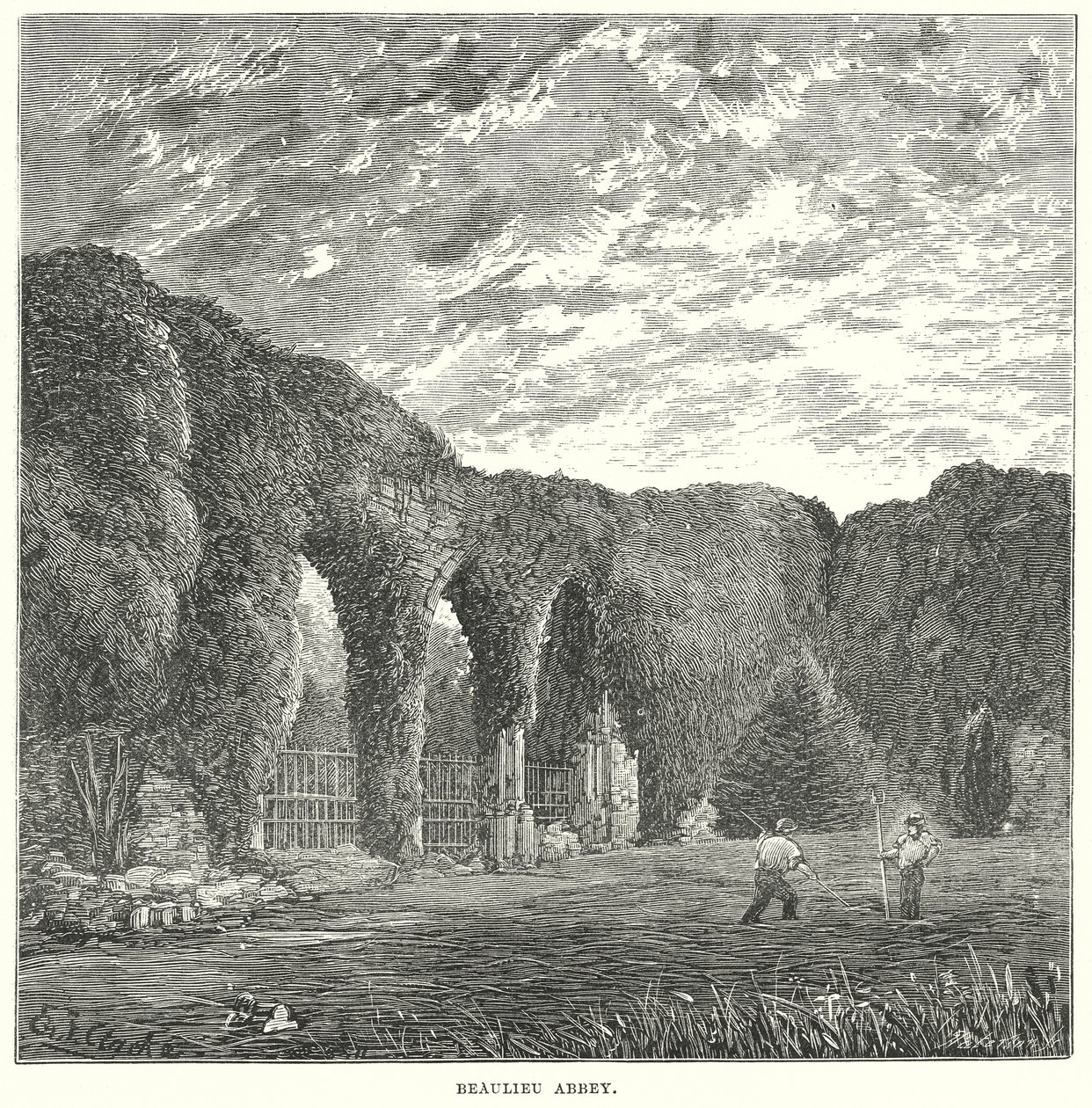 Beaulieu Abtei von English School