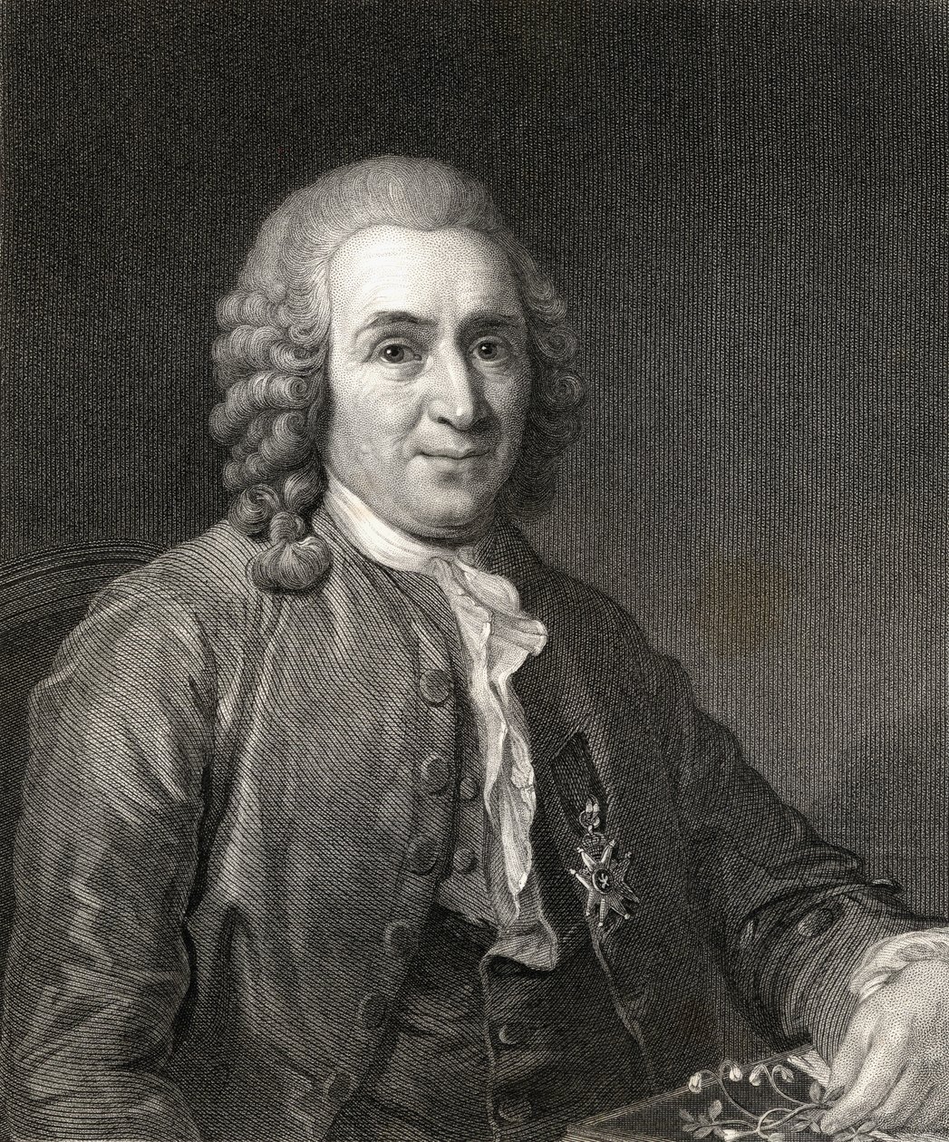Carl von Linné oder Linnaeus (1707-78) aus The Gallery of Portraits, veröffentlicht 1833 von English School