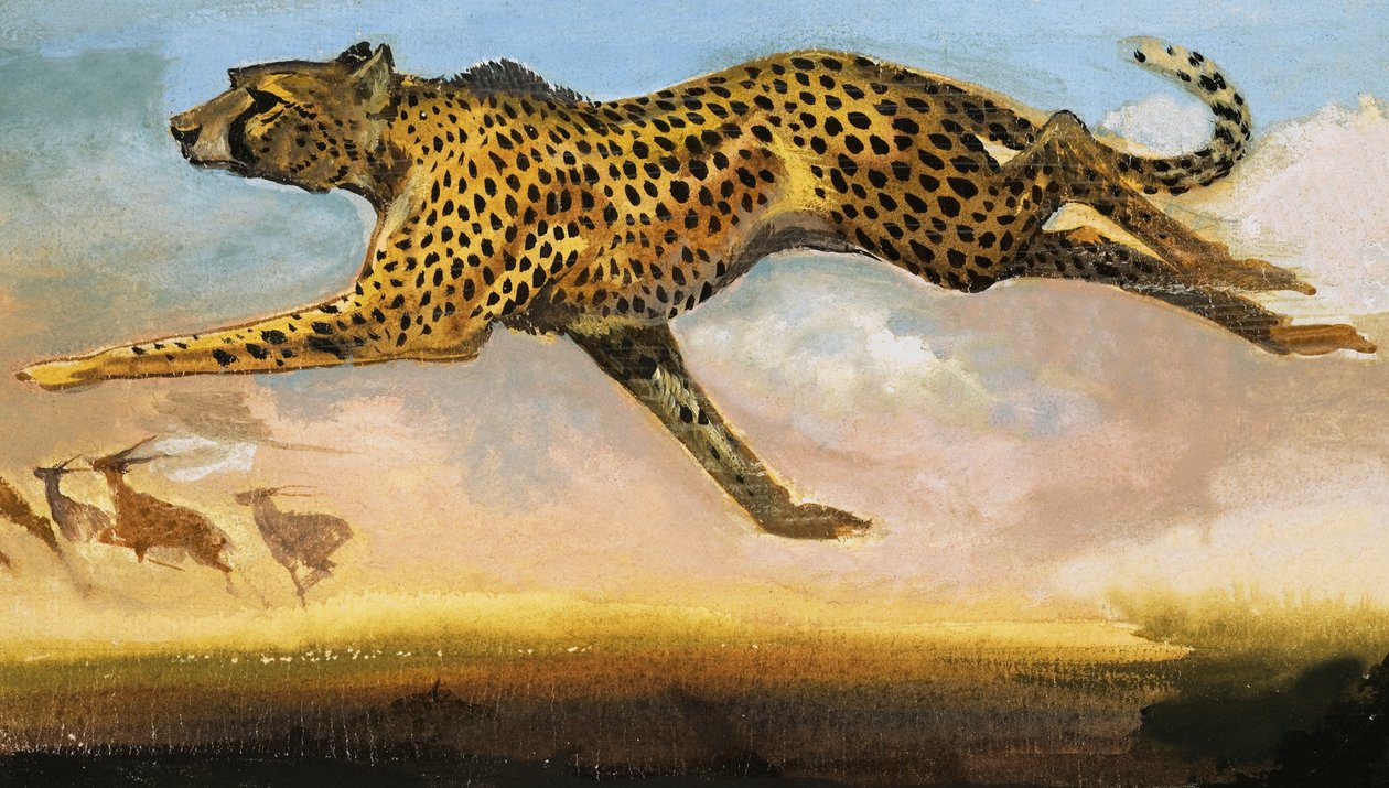 Gepard von English School