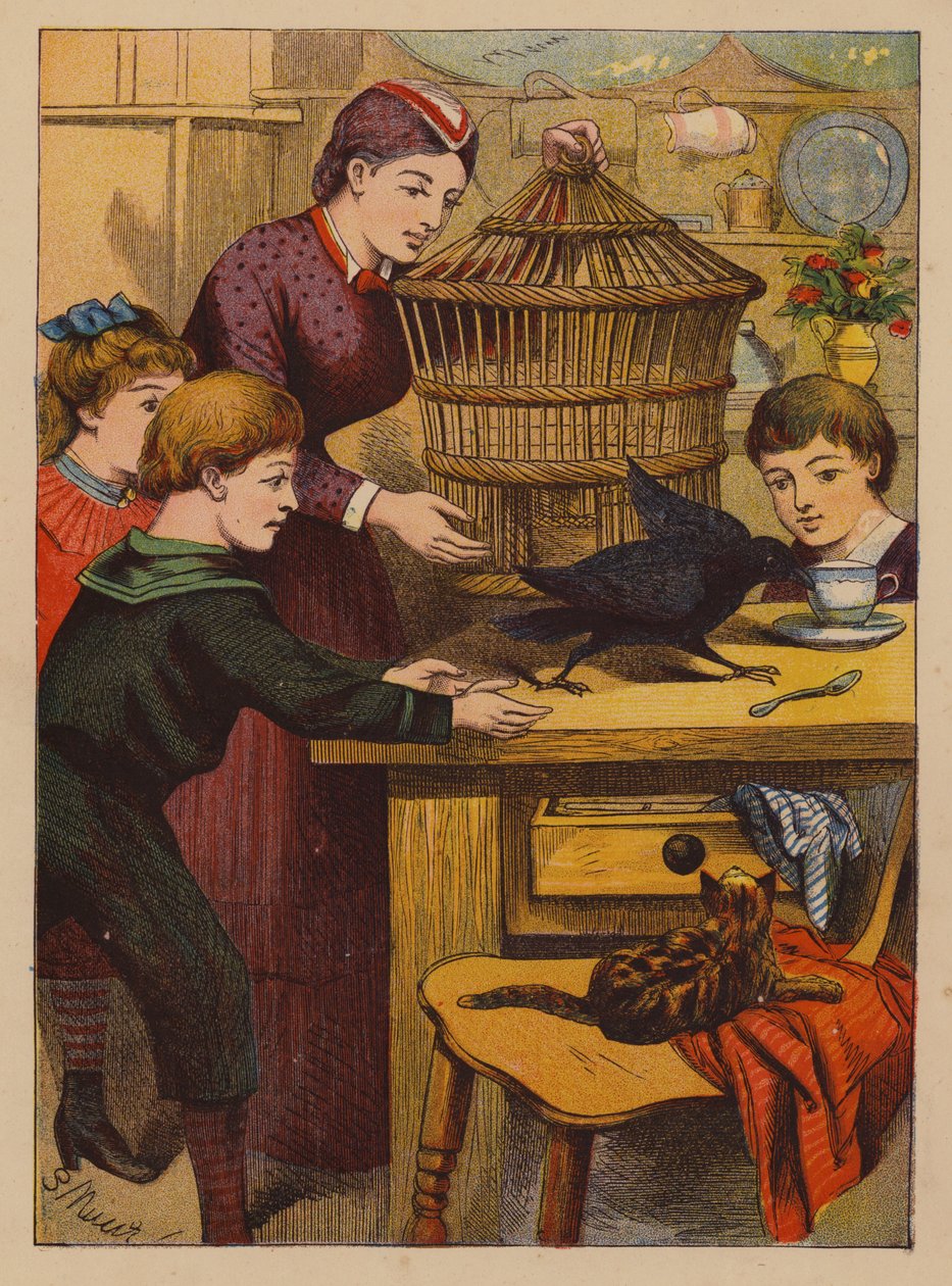 Kluge Tricks von English School