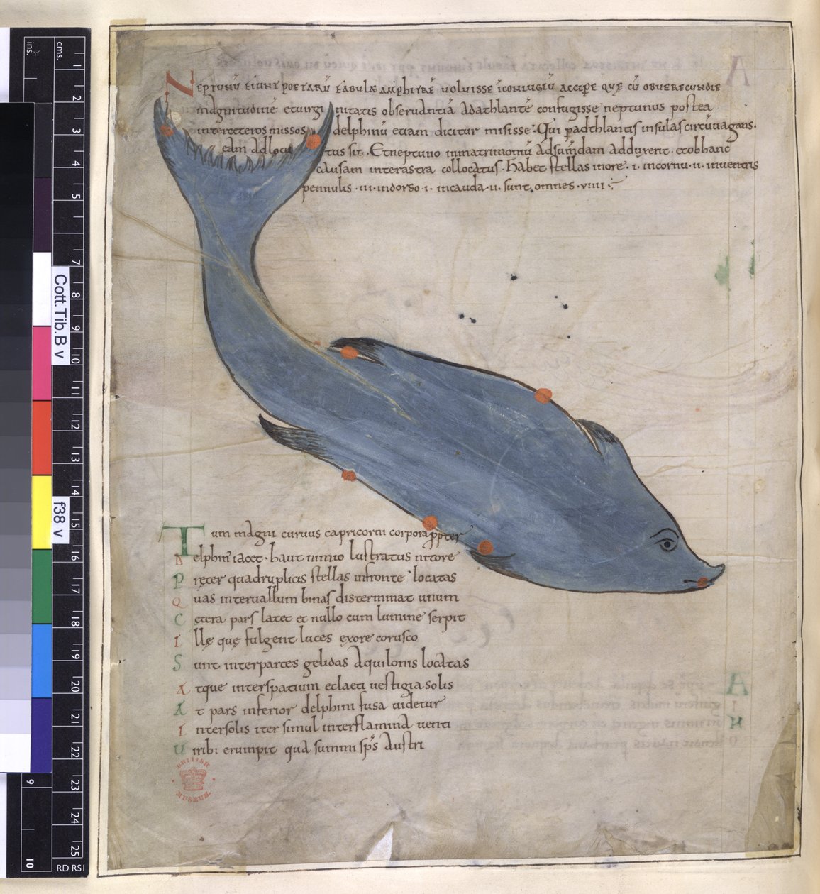 Das Sternbild Delphinus aus 