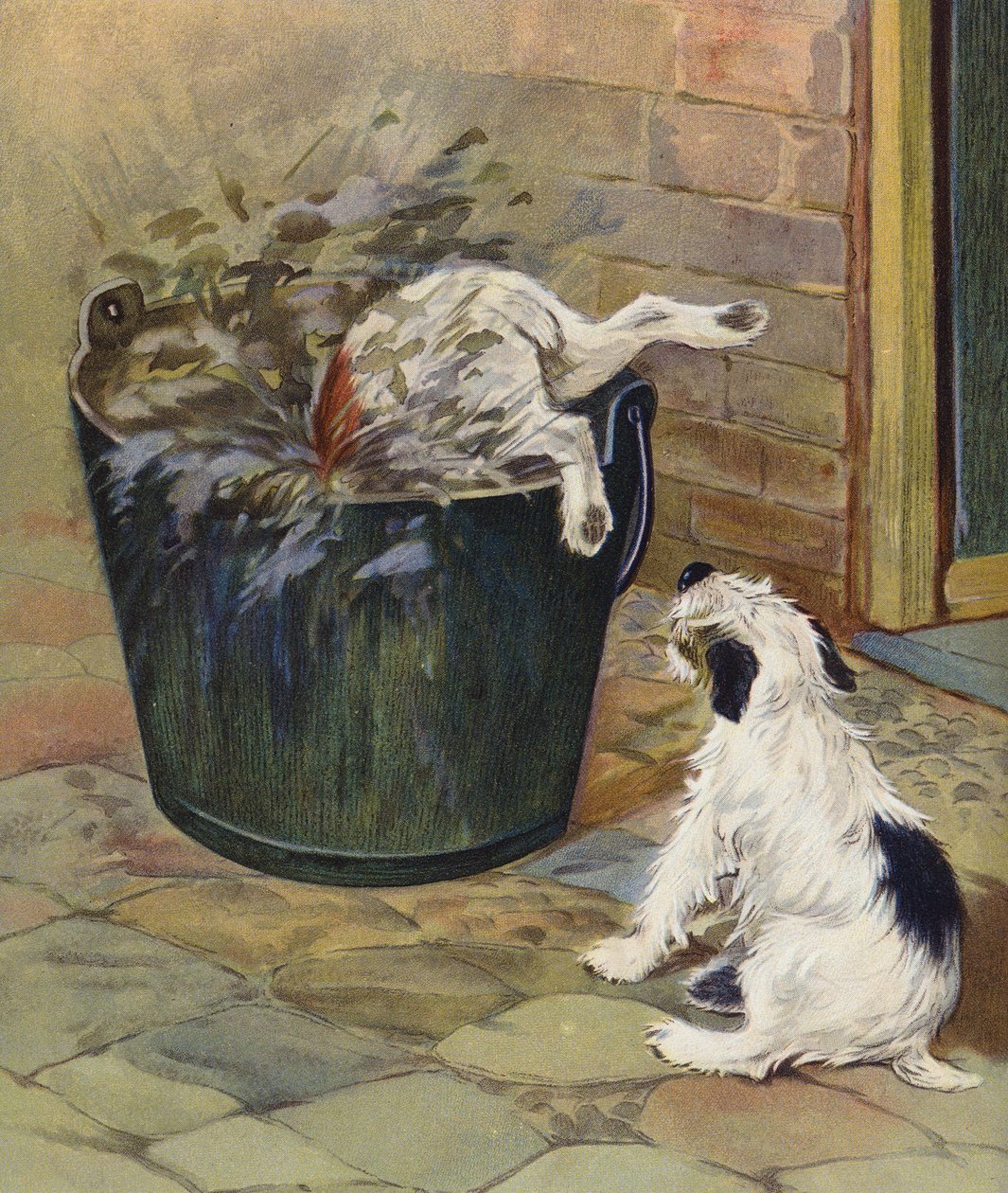 Neugier bestraft von English School