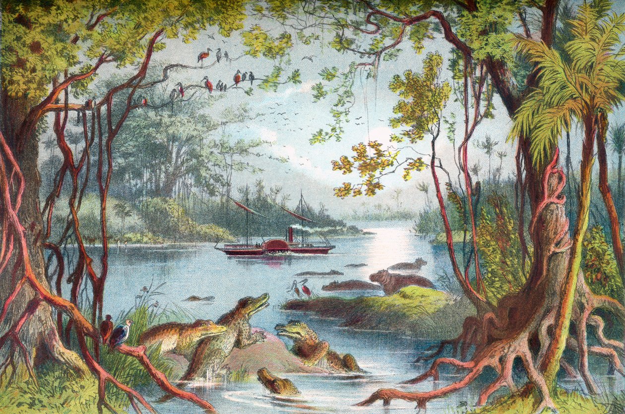 David Livingstones Schiff The Ma-Robert auf dem Sambesi-Fluss, Afrika, während seiner Sambesi-Expedition im 19. Jahrhundert. Aus The Life and Explorations of Dr. Livingstone, veröffentlicht ca. 1875. von English School